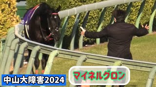【ゴールドシップ産駒】青木調教師がマイネルグロンを迎えに行く、無事に帰ってきてくれてよかった！