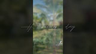 🌿ĐẤT RỒNG ĐINH GIA TRANG- CHÂU ĐỨC- BRVT🌿