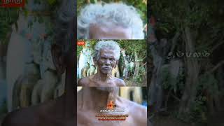 வேண்டியது உடனே நெரைவெரும் #ஐயனார் #