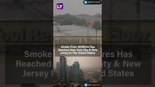 Canada Wildfires: Smoke Envelops New York City Due To Forest Fire; Quebec Worst Hit