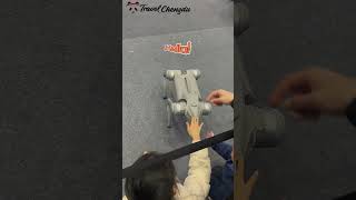 Robot Dog: The Pet of the Future? #robotdogs #robotics #techgadgets #futuretech #smartrobots