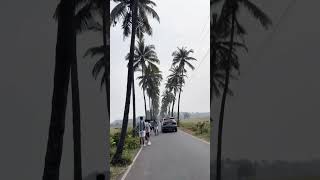 Scenic drive on parra road goa | dear zindagi #parraroad #goa #loveuzindagi #shorts #travel #drive
