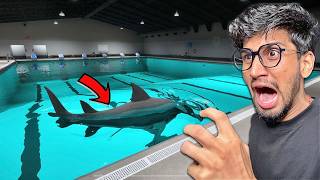 Sharks in the Poolrooms… I’m Not Safe Anymore!