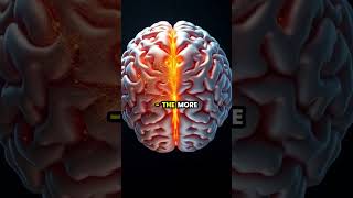 Unlocking the Power of Your Brain: The Science of Neuroplasticity