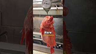 Rare photos you have never seen before (Part 021)