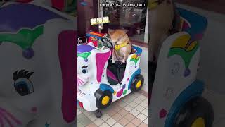 柴犬偷玩「電動搖搖馬」超吸睛！被主人抓包露心虛臉：快結束了... #shorts