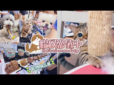 【Vlog】🐈毛孩滿足🐶主人幸福💜優質寵物用品展 2023丨罐罐試吃大會🤤...免費領試吃包 + 玩具！！直接帶推車去了啦🈵丨毛孩集郵🐱貓奴當值中🐾