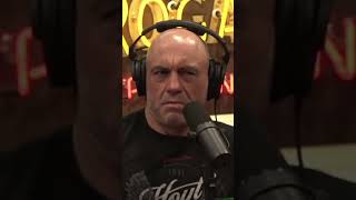 The Raw Intelligence of Crows - Joe Rogan