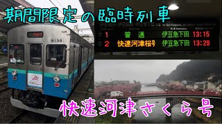 [Limited-time special express train!] I rode the Kawazu Sakura train