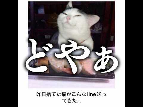 【金持ちの主人】殿堂入りボケてがマジでツッコミどころ満載だったwww 【1584弾】