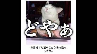 【金持ちの主人】殿堂入りボケてがマジでツッコミどころ満載だったwww 【1584弾】
