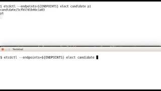 etcd-08-elect-00