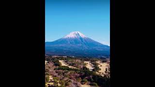 【空撮】富士山は絶景でした。#富士山#空撮 #ドローン #クリエイターサポートプログラム #絶景#日本一周