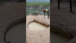 innovative bird trap #youtube