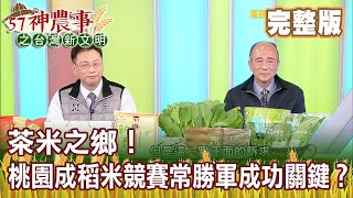 茶米之鄉！桃園成稻米競賽常勝軍成功關鍵？《57神農事》完整版 胡忠信 李文政 黃銘盛 20210126
