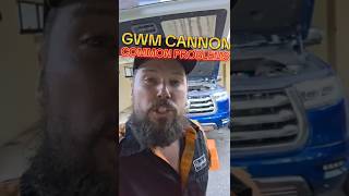 GWM CANNON COMMON PROBLEMS #GWM #GWMCANNON #PSERIES #CHINESECARS