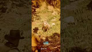 Bro isn't in danger ⚡ bro is danger 🥶! #rdr2