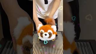 Color-changing panda🥰🥰#iboop #iBOOP #plush #plushies #gifts #dolls