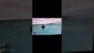 FARKELIN CONVERT WHALE FISH