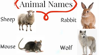Phones sounds for Toddlers [Sheep Rabbit Mouse Wolf] English with pictures and vice #english #abcd