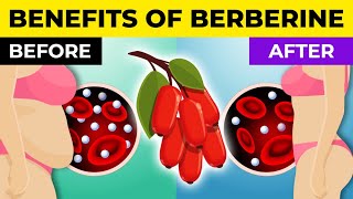 Berberine VS Dihydroberberine - Which is Better for Diabetes?