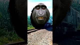 HEBOH LOKO MONKEY DAN TRAIN EATER #train #trainfunny #trainfunnyvideo #keretaapiindonesia #keretaapi
