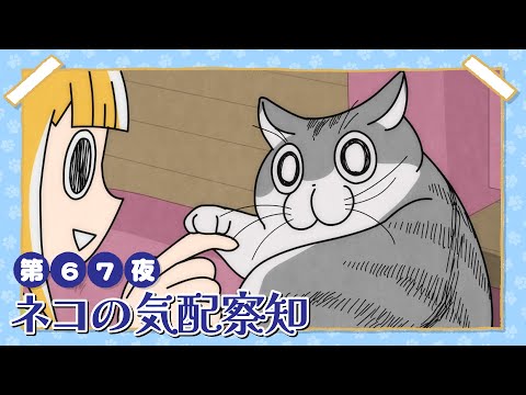 アニメ『夜は猫といっしょ』第67夜「ネコの気配察知」