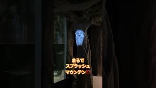 まるでスプラッシュマウンテンＱライン！？ #ディズニーランド #ディズニー #ディズニーアトラクション #スプラッシュマウンテン