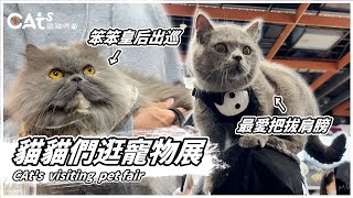 CAt's visiting pet fair