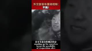 中國外交部發布重磅影片：《不跪！ 》 #國際觀點 #history #民放 #看見 #外交部