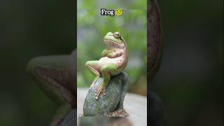 "Skinwalkers disguised as Animals" | #animals #facts #factvideo #scary #skinwalker