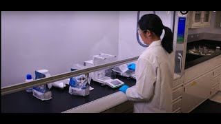 Pharmaceutical Excipients: How to Save Raw Materials and Optimize Formulations