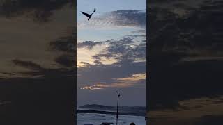 Sunset at Kanyakumari #sunset #sunsetview #sunsetvideography #kanyakumari #timelapsevideo #Laksharan