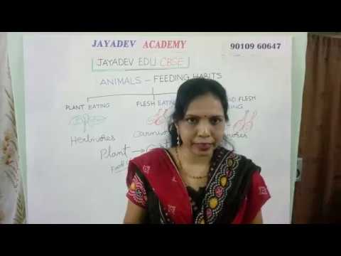SCIENCE || ANIMALS - FEEDING HABITS || 3 CLASS CBSE  BY JAYADEV EDU CBSE