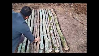 #野外建造 #解压 #荒野建造