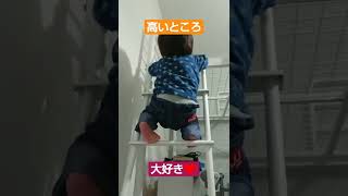 ハシゴ登りチャレンジ！#shorts #キッズ #shortsvideo #2歳