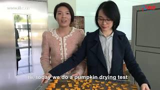 how to dry vegetable pumpkin by WRH 100B