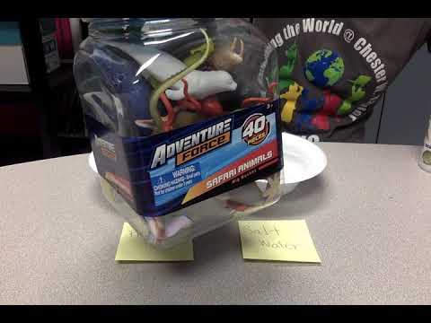 Salt Water Fresh Water Experiment