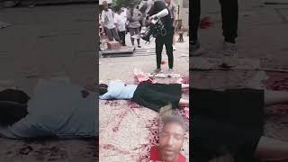 action movie explanationaction movie fullaction movie freeaction movie fightaction movie gaanacti