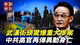 武漢街頭驚爆重大慘案；中共高官再傳異動身亡；內部掠奪？中共修條例要求過緊日子； 殲-10擊落飆風戰機，中共竊喜還是憂心；中共狂蓋核電廠，軍方自揭災難後果【中國禁聞】｜#新唐人電視台