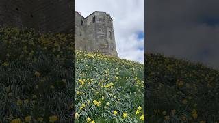 Warkworth castle ✨#travel #northeast #northumberland #nature #landscape #castle #outdoors #history
