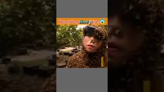 honey Bee's has 5 Eyes 👀 #facts #factology #factvideo #shorts