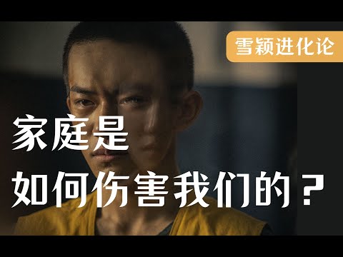 原生家庭是如何伤害我们的？如何走出过去的创伤？  心理学 原生家庭系列