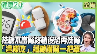 網紅律師25歲就洗腎！控糖不當腎友移植後恐再洗腎！護腎先控三高「這樣吃」血糖、腎臟、心臟一把罩！健康2.0 20250413【完整版】#鄭凱云 #林承叡 #王健宇 #劉怡里 #王明勇 #洪素卿