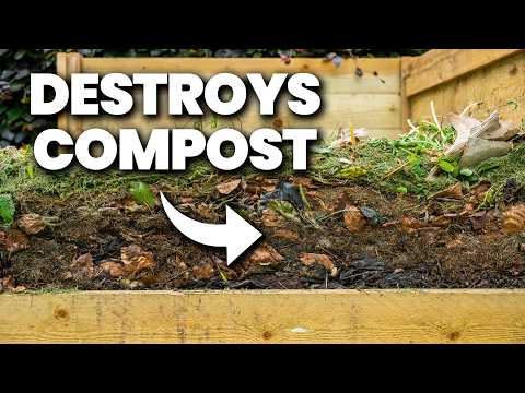 STOP Making These 10 Composting Mistakes