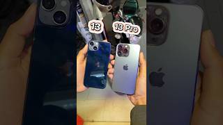 iPhone 13 Vs iPhone 13 Pro || Camera Zoom Test! #shorts