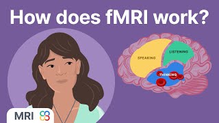 How does fMRI reveal which parts of the brain are active? - MRI physics explained