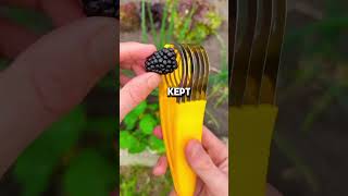 #GlobalShorts #USAViral #UKShorts #ForYouUK #ForYouUSA #ViralVideo #ForYouCanada #MotivationShorts