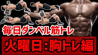 [Daily Dumbbell Workouts②] Tuesday: Chest Training