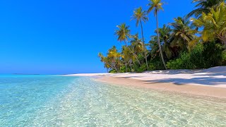 Ocean 4K UHD 🏝 Relax on a Luxury Island in Maldives
